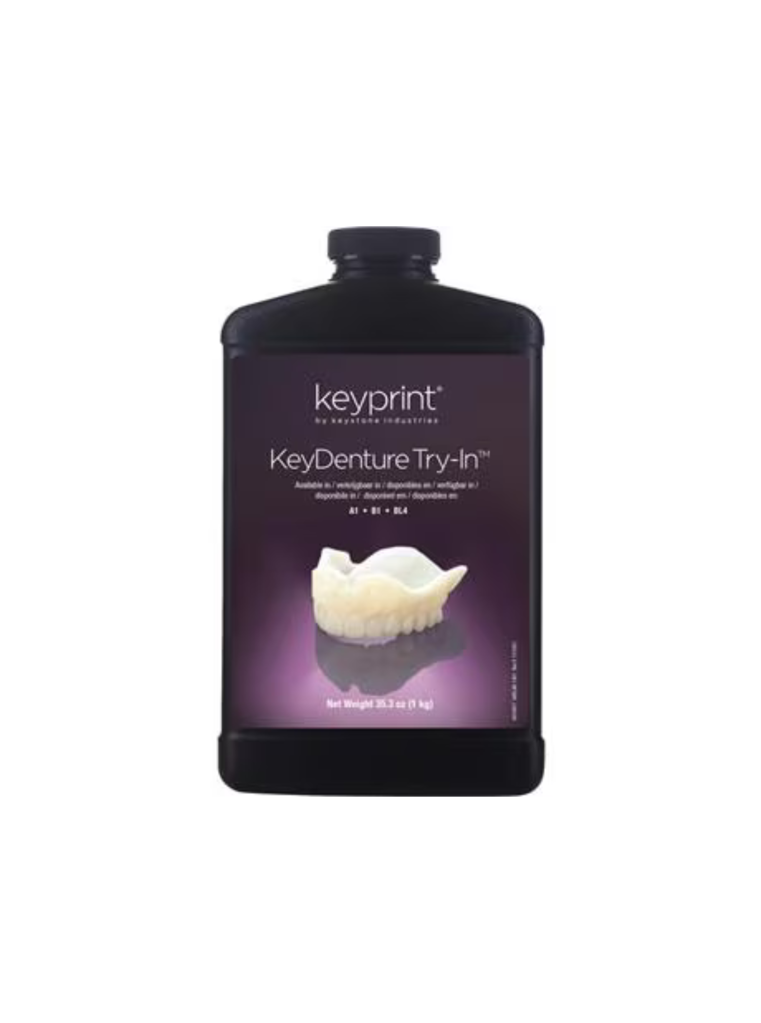 KeyDenture Try-In