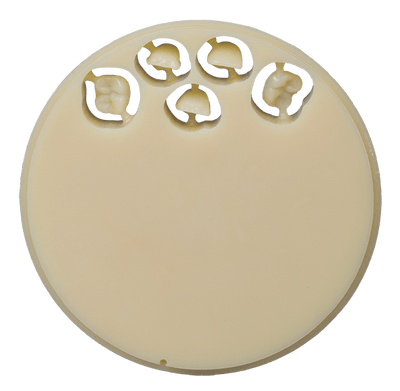 CAD/CAM Wachsblank 80 – dentin (YETI Dental), Ø 98,5 × 16 mm