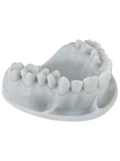 KeyOrthoModel Resin